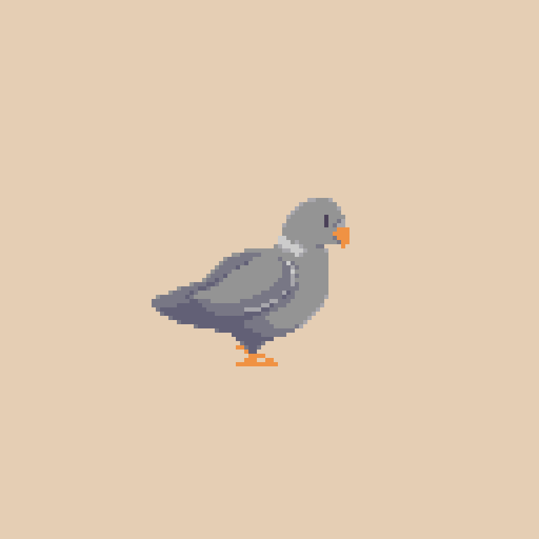 Pidgi