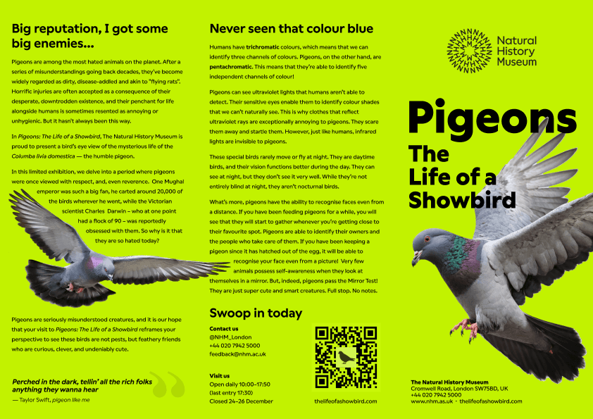 The outside of the fake brochure. The cover features a large pigeon in flight on a lime green background with the title 'Pigeons: The Life of a Showbird' and the Natural History Museum logo. Other panels tease exhibition content and include a QR code.